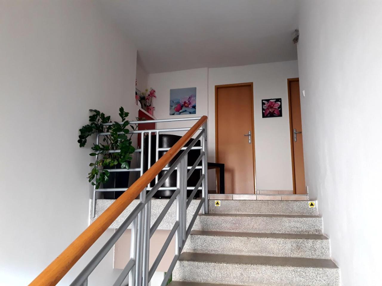 Penzion Fox Nemšová Extérieur photo